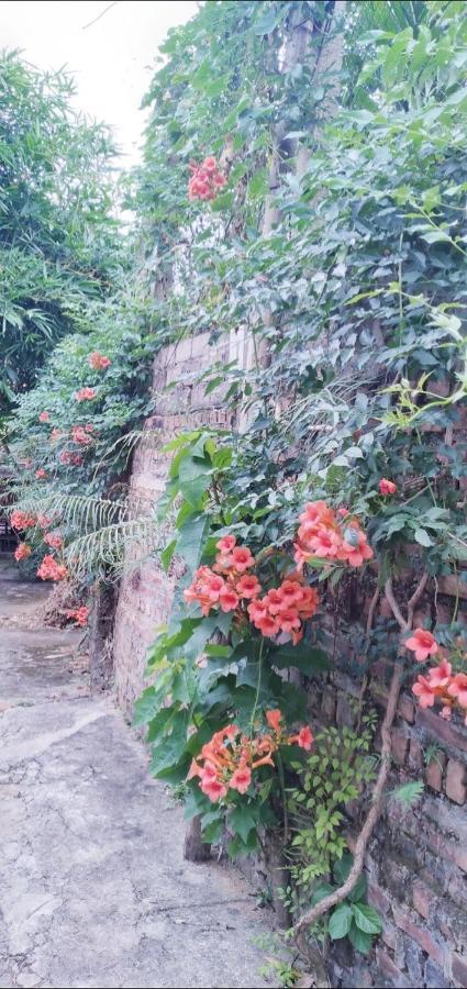 Family Homestay Ba Vi Exterior photo