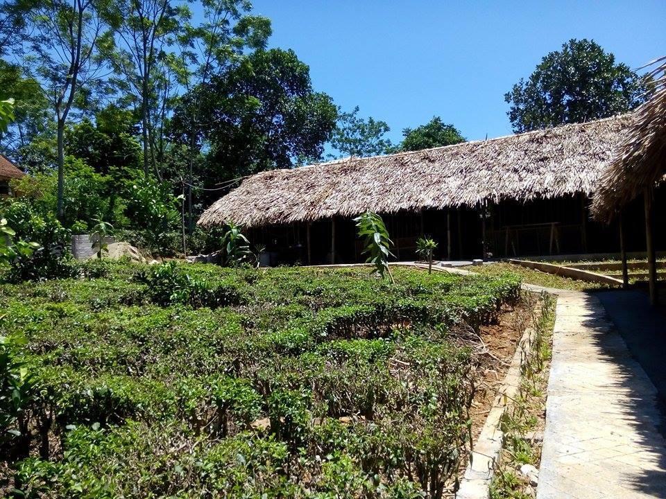 Family Homestay Ba Vi Room photo