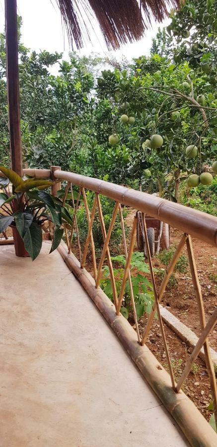 Family Homestay Ba Vi Exterior photo